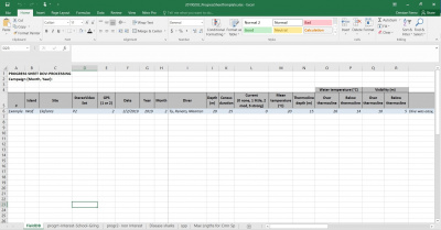 Figure 2 – Progress sheet example. Notice the spreadsheet has the six (6) tabs or sheets described in text.