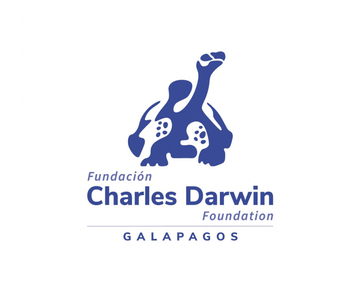 Archivo:Logo FUNDACION Vertical.jpg