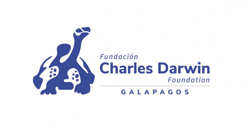 Archivo:Logo FUNDACION Horizontal.jpg